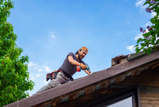 Best Roof Moss and Algae Removal  in Haysville, KS