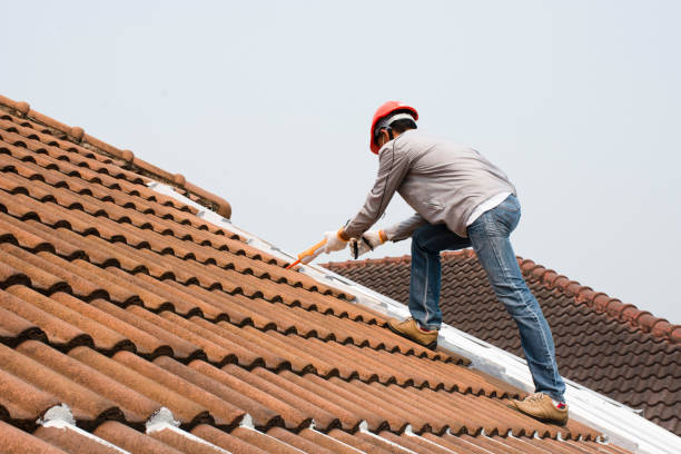 Best Roof Insulation Installation  in Haysville, KS